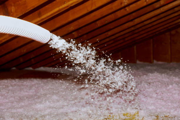 Best Basement Insulation  in Bloomville, OH